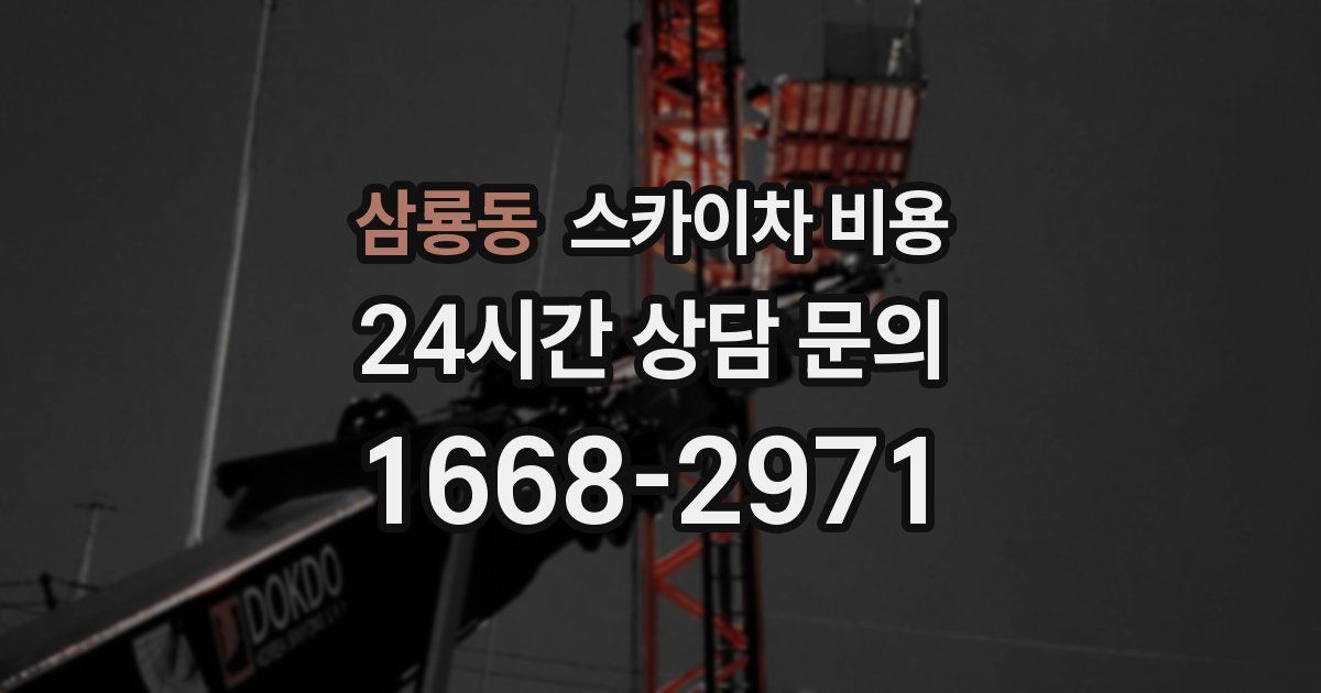 삼룡동 스카이차 비용