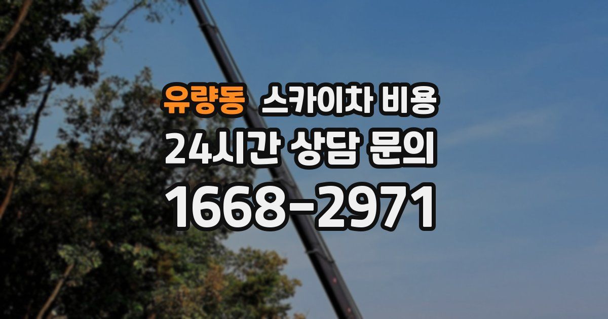 유량동 스카이차 비용