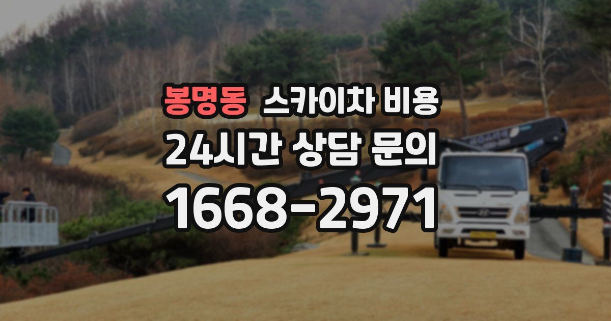 봉명동 스카이차 비용