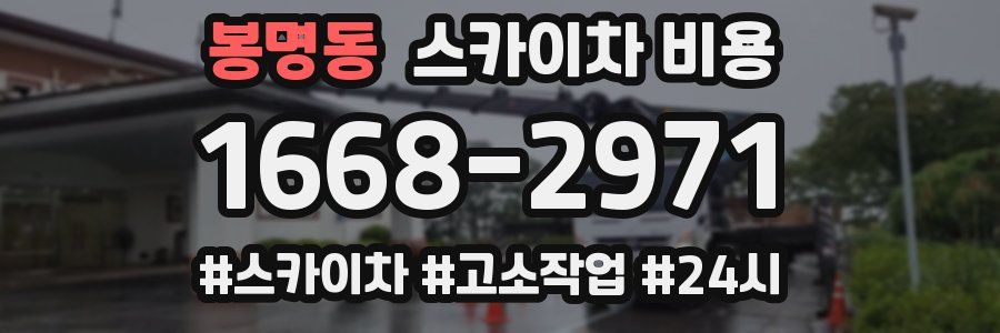 봉명동 스카이차 비용