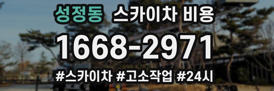 성정동 스카이차 비용