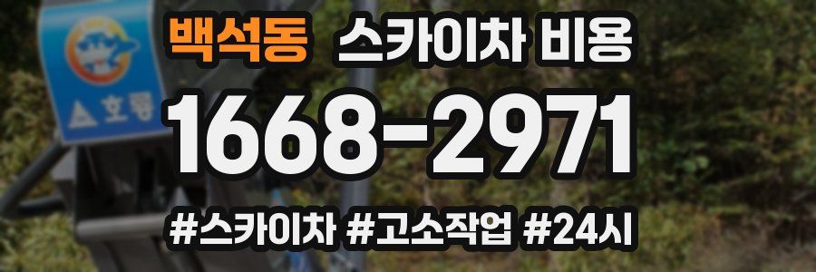 백석동 스카이차 비용