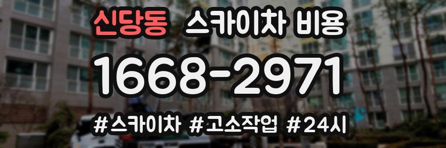 신당동 스카이차 비용