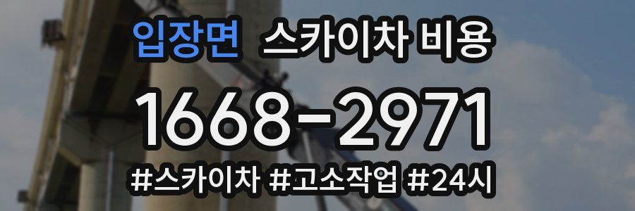 입장면 스카이차 비용