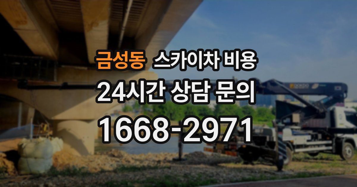 금성동 스카이차 비용