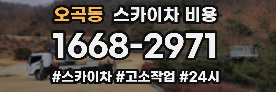 오곡동 스카이차 비용