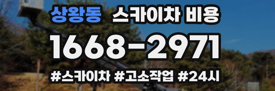 상왕동 스카이차 비용