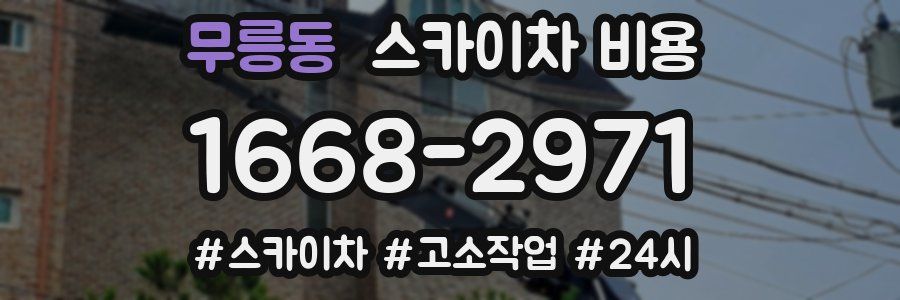 무릉동 스카이차 비용