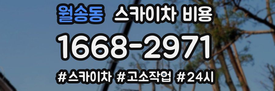 월송동 스카이차 비용