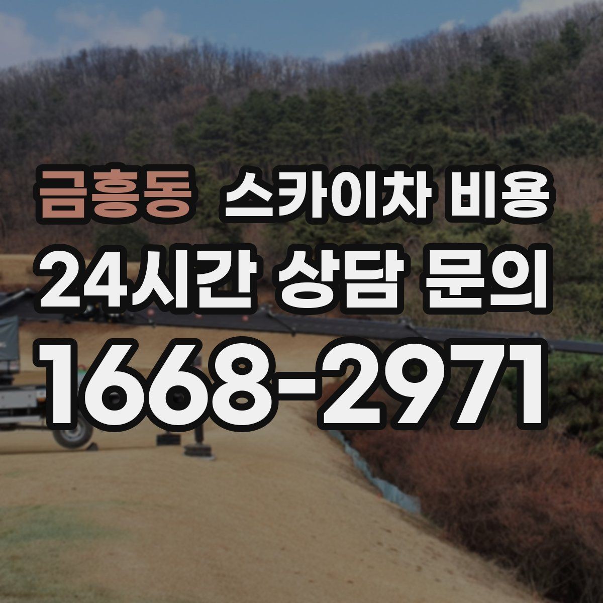 금흥동 스카이차 비용 나무 전지 작업은 가지 위치가 변수가 됩니다