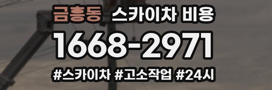 금흥동 스카이차 비용