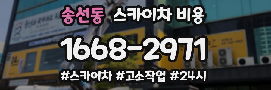 송선동 스카이차 비용