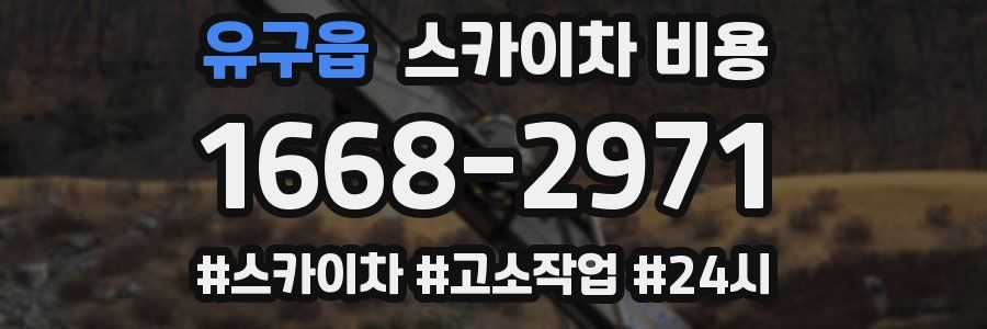 유구읍 스카이차 비용