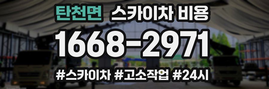 탄천면 스카이차 비용