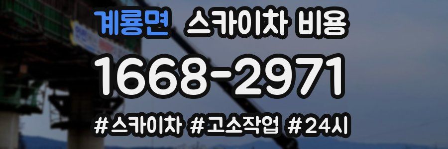 계룡면 스카이차 비용