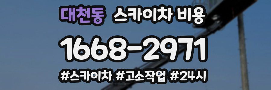 대천동 스카이차 비용