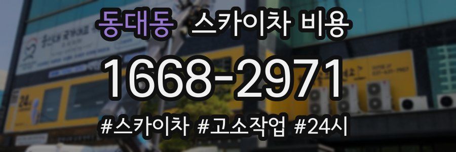 동대동 스카이차 비용