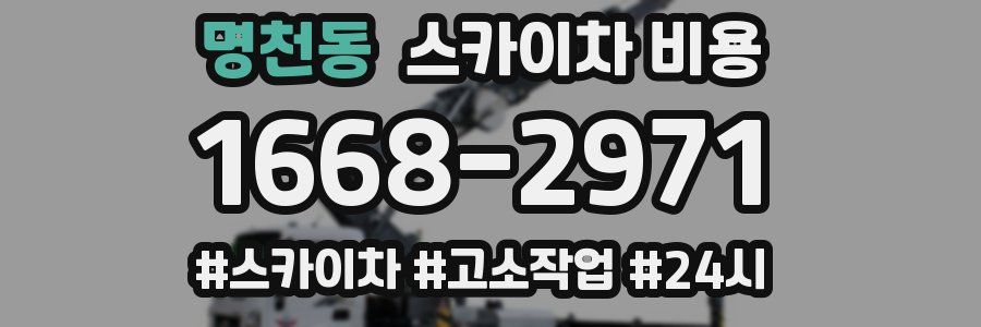 명천동 스카이차 비용