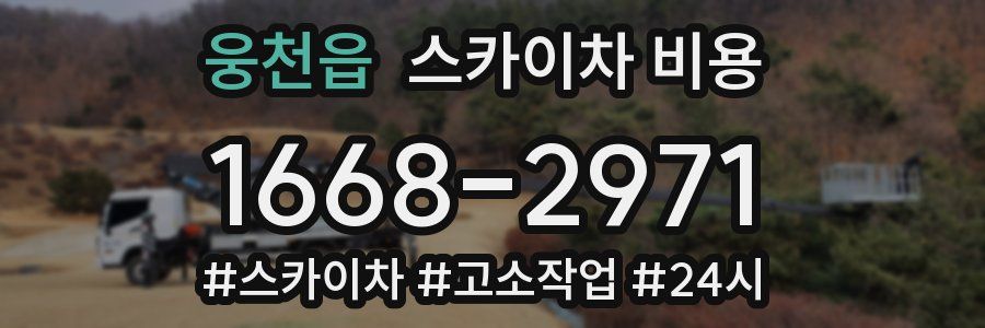 웅천읍 스카이차 비용