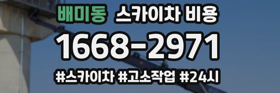 배미동 스카이차 비용