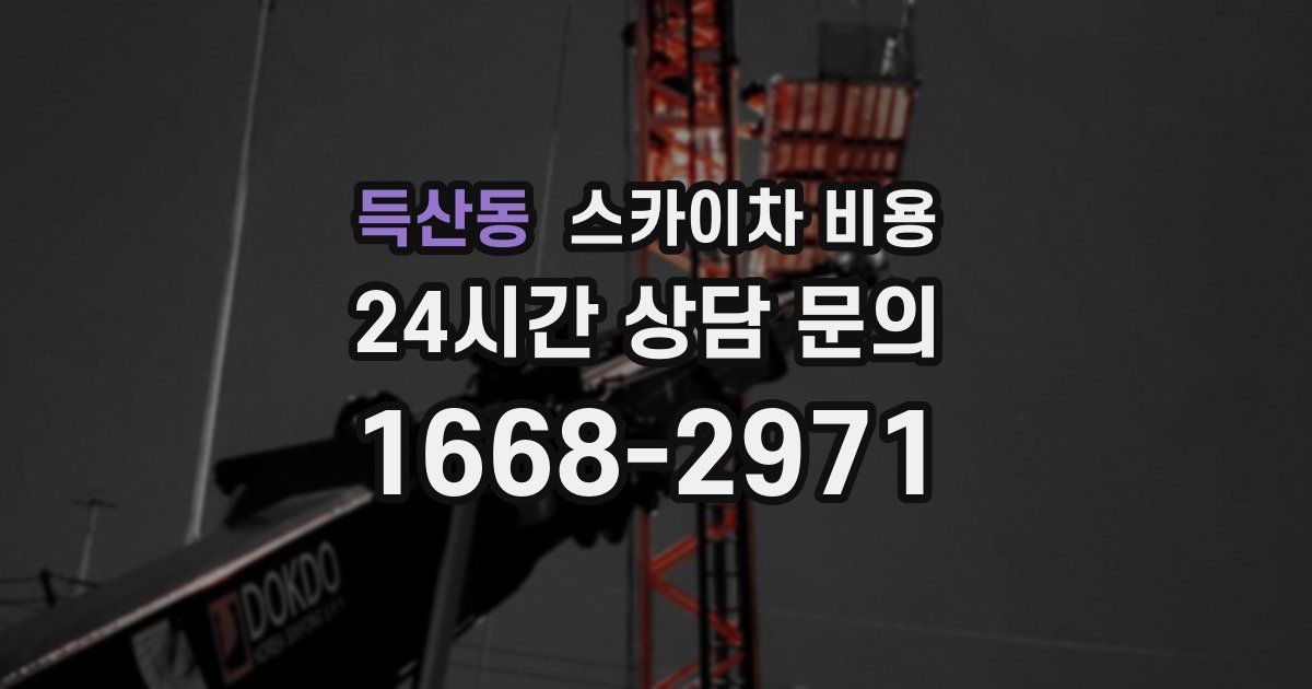 득산동 스카이차 비용