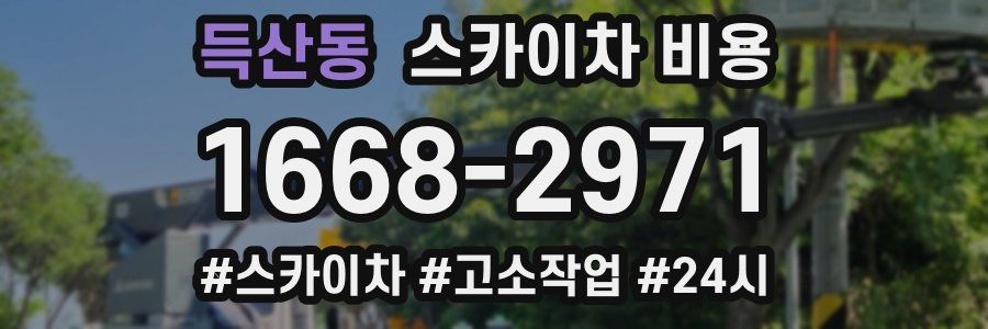 득산동 스카이차 비용