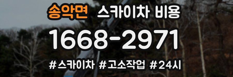 송악면 스카이차 비용