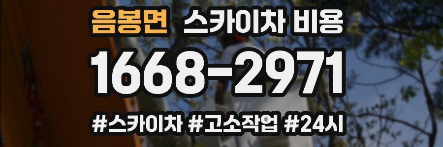 음봉면 스카이차 비용