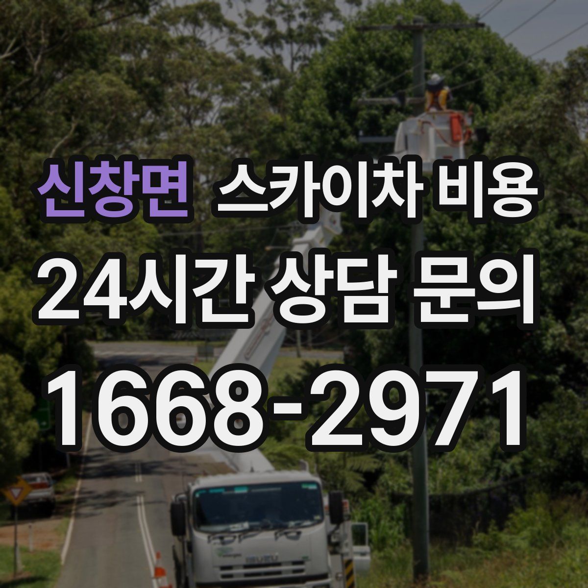 신창면 스카이차 비용