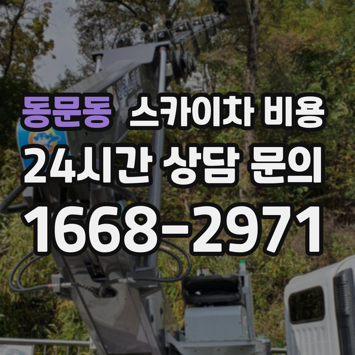 동문동 스카이차 비용