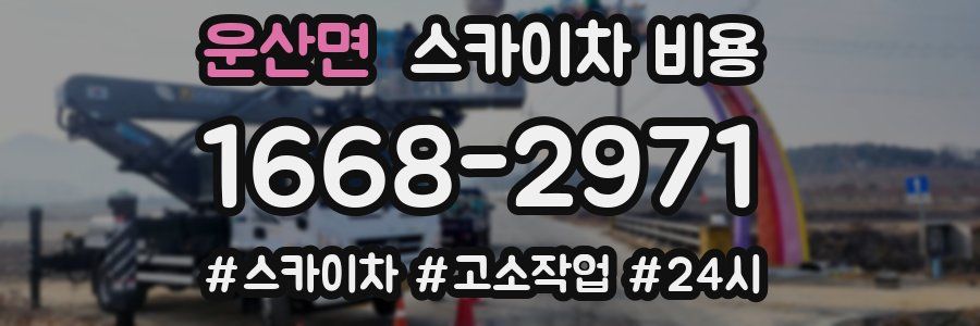 운산면 스카이차 비용