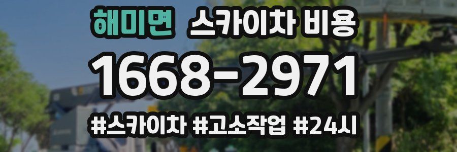 해미면 스카이차 비용