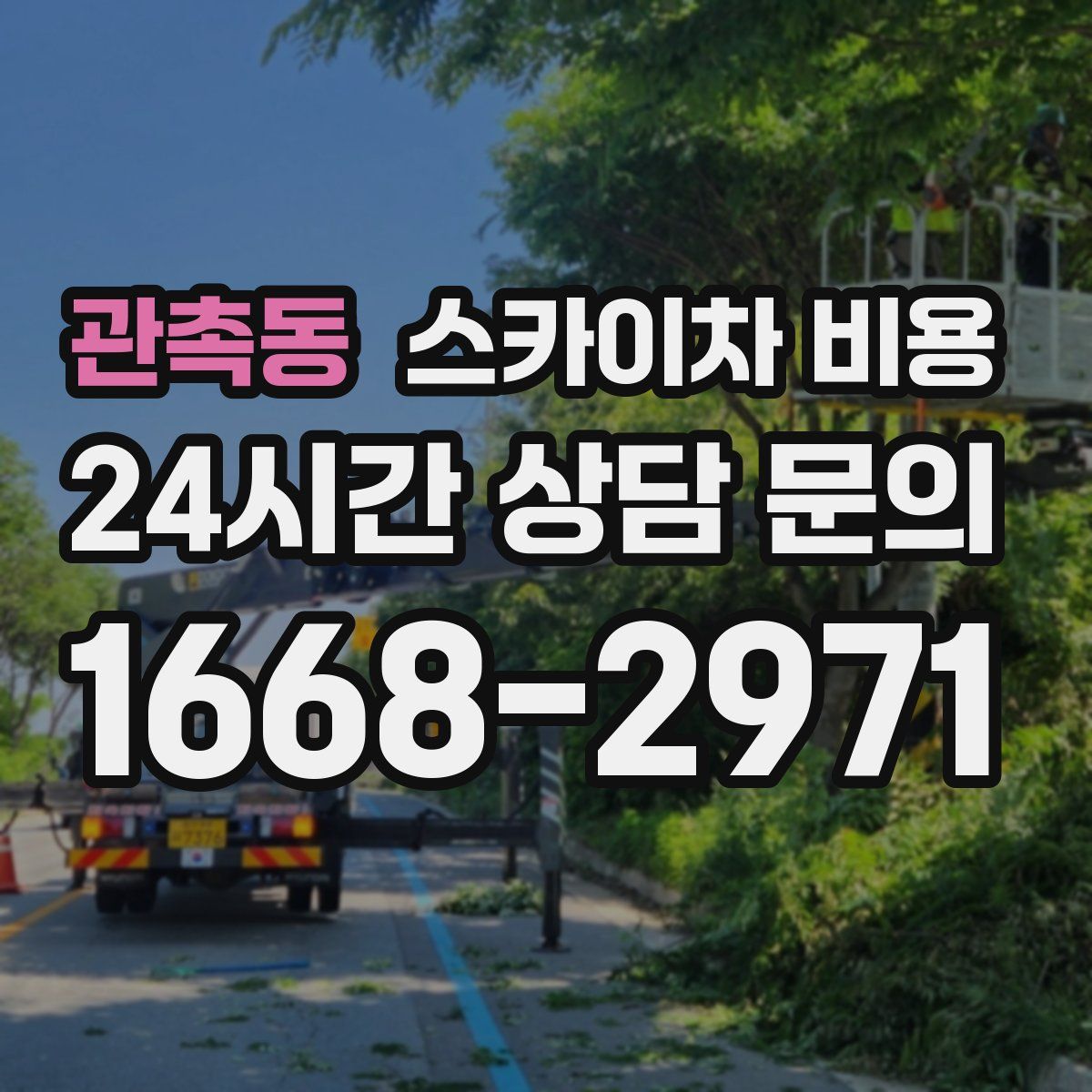 관촉동 스카이차 비용