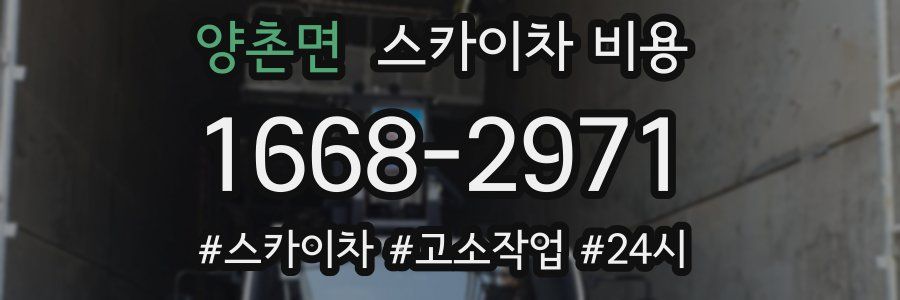 양촌면 스카이차 비용