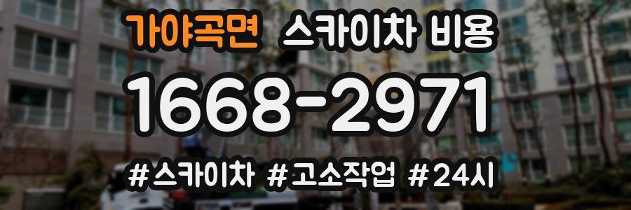 가야곡면 스카이차 비용