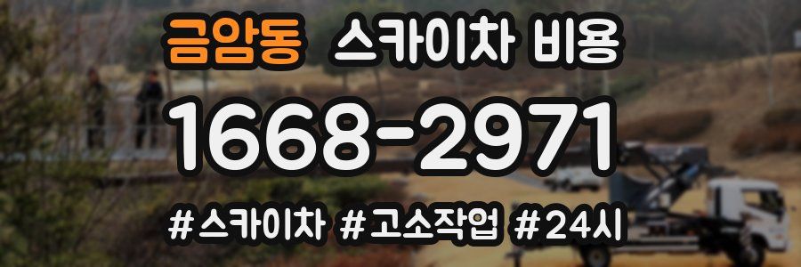 금암동 스카이차 비용