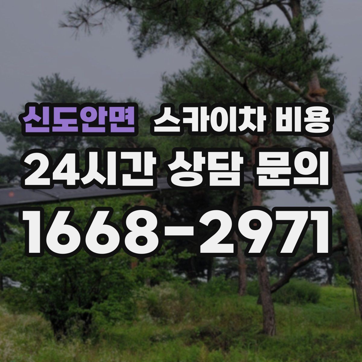 신도안면 스카이차 비용 장비 제원에 따라 달라질 수 있는 부분