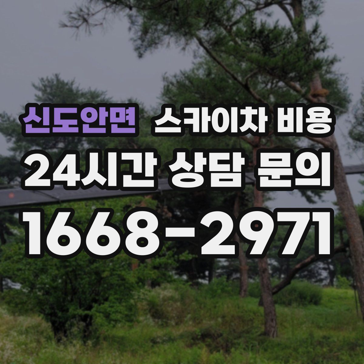 신도안면 스카이차 비용