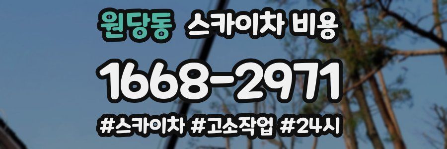 원당동 스카이차 비용