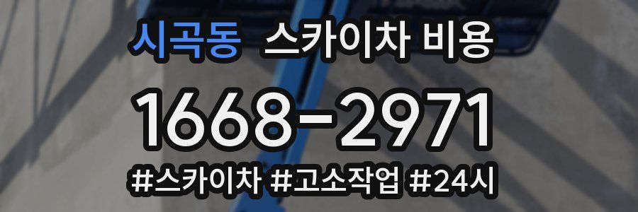 시곡동 스카이차 비용