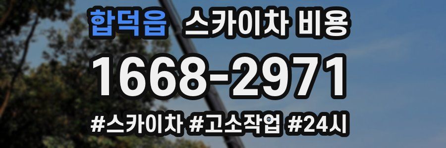 합덕읍 스카이차 비용