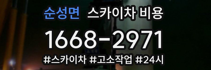 순성면 스카이차 비용