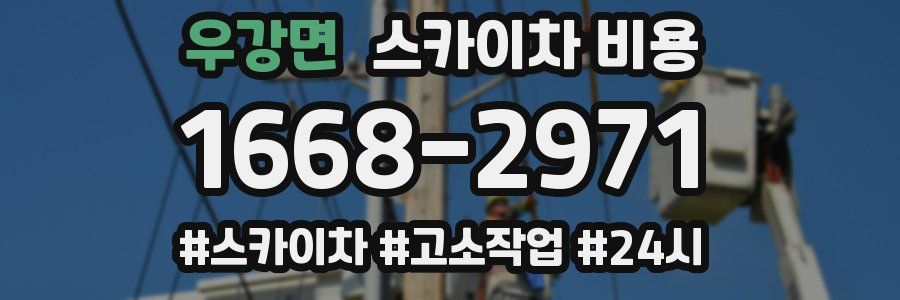 우강면 스카이차 비용