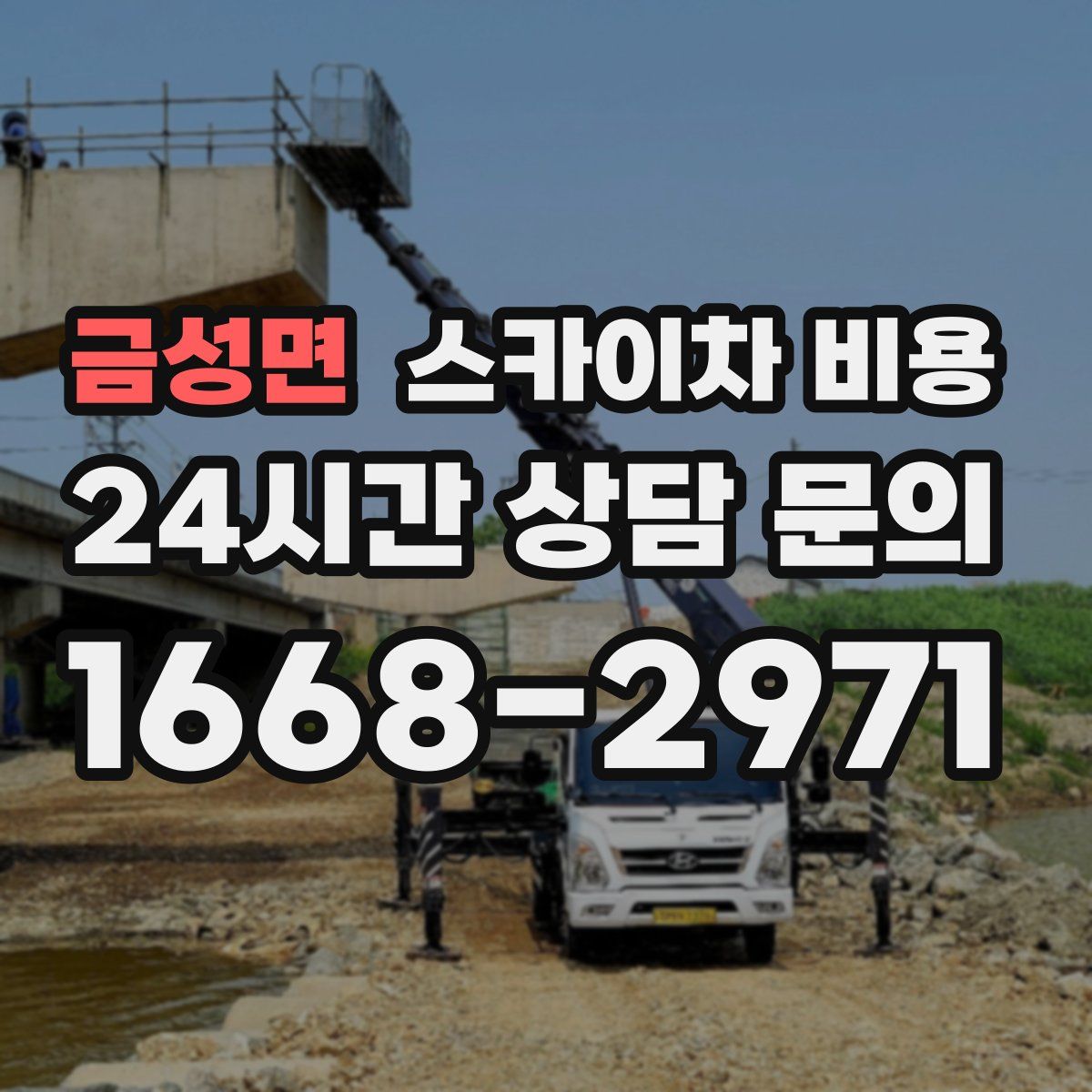금성면 스카이차 비용