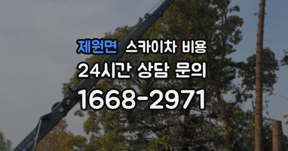 제원면 스카이차 비용
