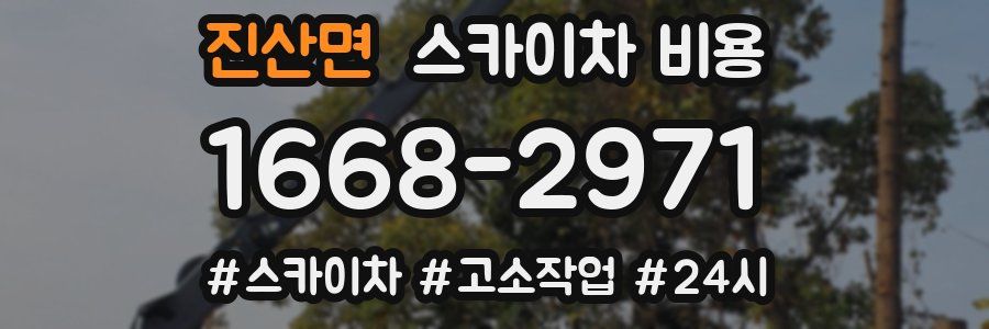 진산면 스카이차 비용