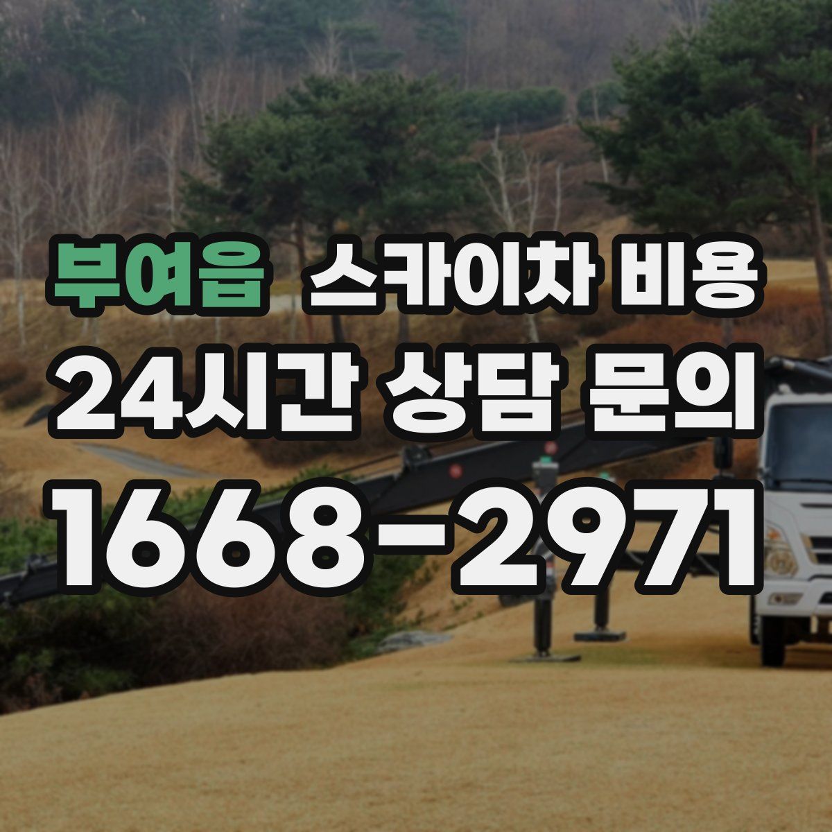 부여읍 스카이차 비용