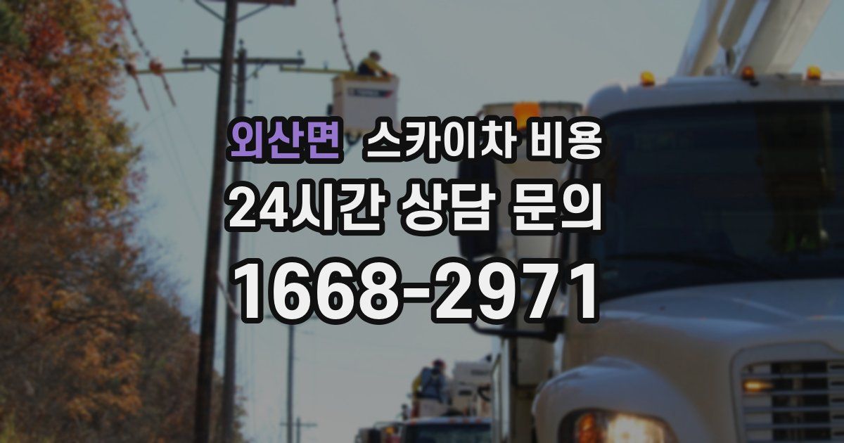 외산면 스카이차 비용