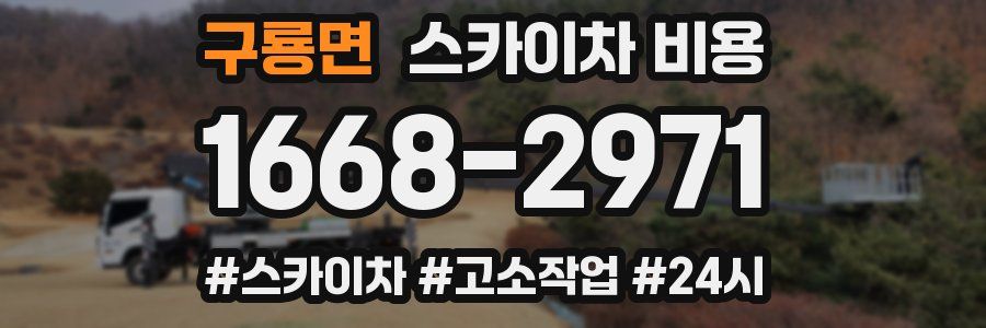 구룡면 스카이차 비용