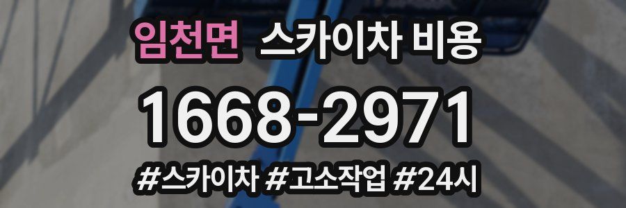 임천면 스카이차 비용
